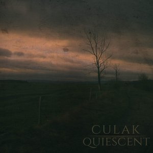 Quiescent