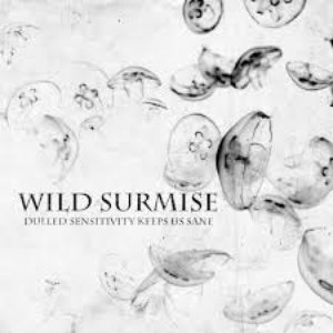 Image for 'Wild Surmise'