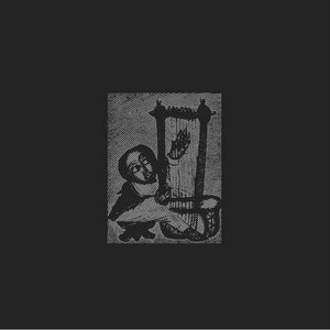 Avatar di Abiy Seyoum