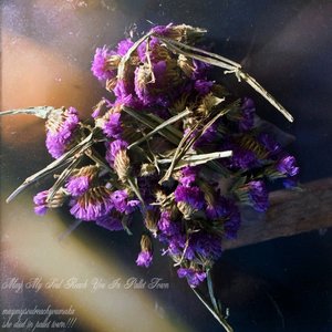 May My Soul Reach You In Pallet Town