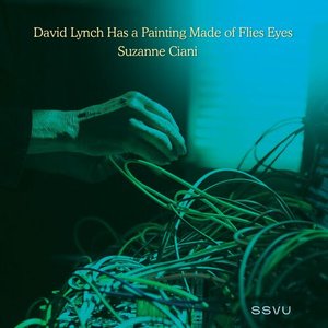 David Lynch Has a Painting Made of Flies Eyes / Suzanne Ciani - Single