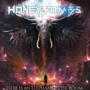 There Is An Elephant In The Room