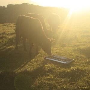 O Maior Álbum do Ano [Explicit]