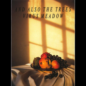 And Also The Trees - Nailed EP - Zortam Music