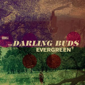 Evergreen - EP