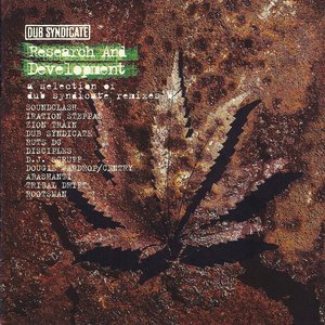 Research and Development: a selection of dub syndicate remixes