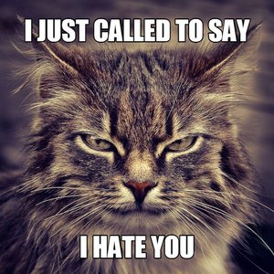 I Just Called To Say... #Show 的头像