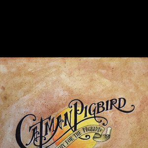 Sympathy for the Pigbird