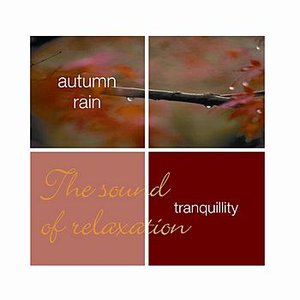 Tranquillity- Autumn Rain