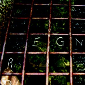 liquidation on swans