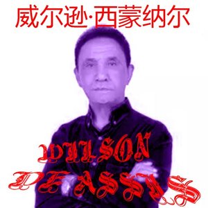 Аватар для Wilson De Assis