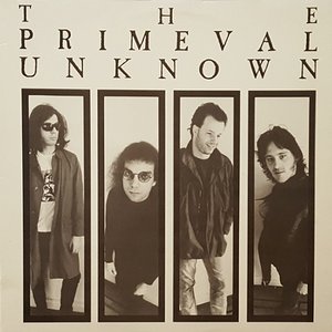 The Primeval Unknown