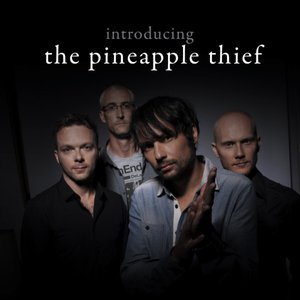 Introducing... The Pineapple Thief