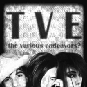 The Various Endeavors 的头像