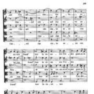 Achille Falcone 的头像