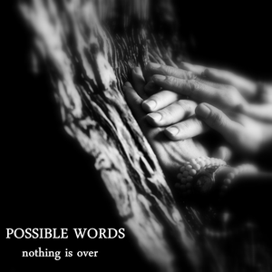 Possible Words photo provided by Last.fm