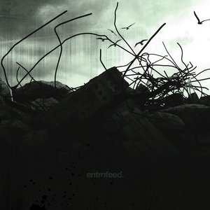 Image for 'Entrofeed'