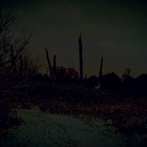 The Sunset Collective 的头像