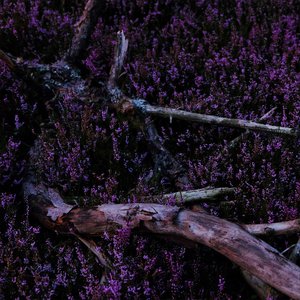 Egress VII