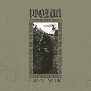 Exolvuntur