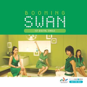 Booming Swan