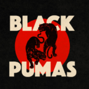Black Pumas - Colors Lyrics - Zortam Music