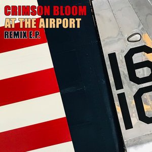 At the Airport (Remix EP)