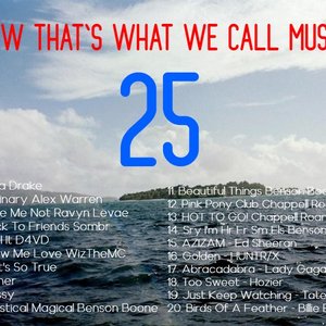 Now That's What WE Call Music! (25)