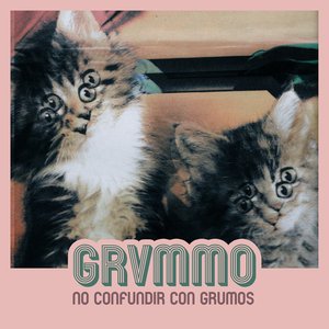 Image for 'GRVMMO'