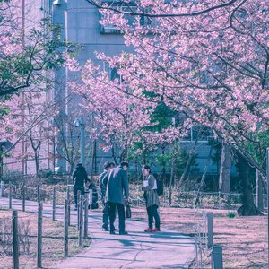 'Shinjuku Jumpshot'の画像