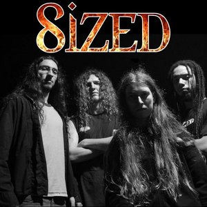 “Sized”的封面