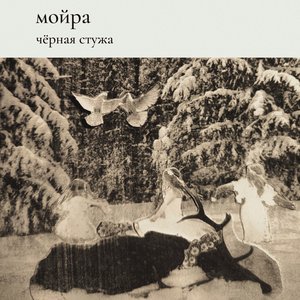 чёрная стужа