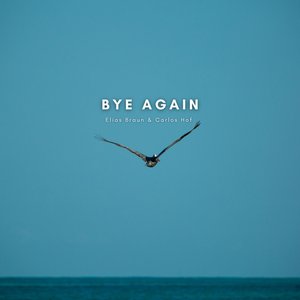 Bye Again