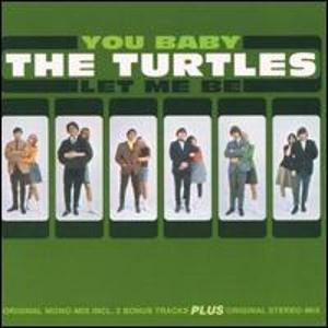 The Turtles - You Dont Have to Walk in the Rain Lyrics - Zortam Music