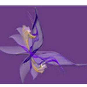 Butterfly Orchid