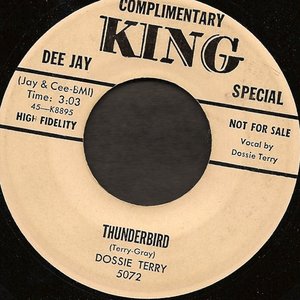Dossie Terry 的头像