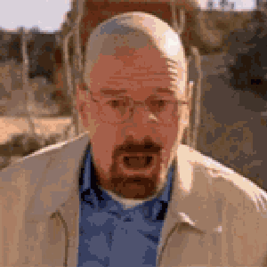 “Walter White”的封面