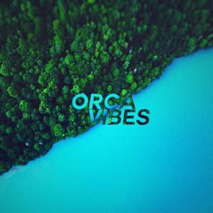 Orca Vibes 的头像