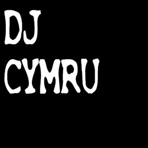 Loving the Music (Cymru Edit) - Single