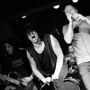Black Crows Break the Silence 的头像