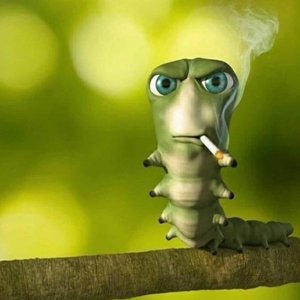 Аватар для Had4r