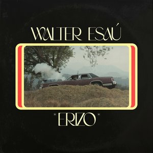 Erizo