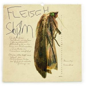 “Fleischschirm”的封面