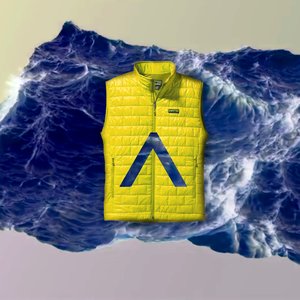 yellow jacket