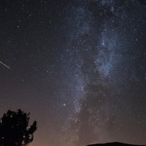 Les étoiles du silence