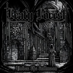 Leafy Forest 的头像
