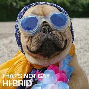 Hi-brid için avatar