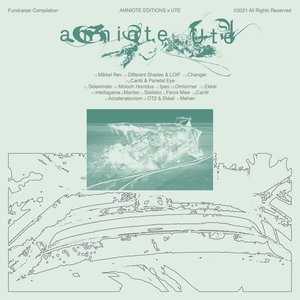 Amniote X Ute - Fundraiser Compilation Vol. I