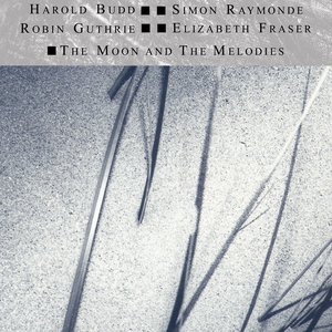 Image for 'Moon And The Melodies'