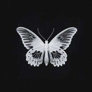 Monarch - Single